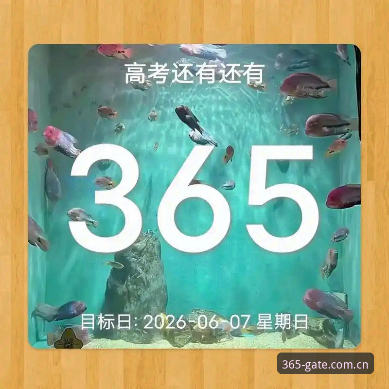 资深技术评测员实测分享：2026best365最新活动使用心得与登录方案对比分析